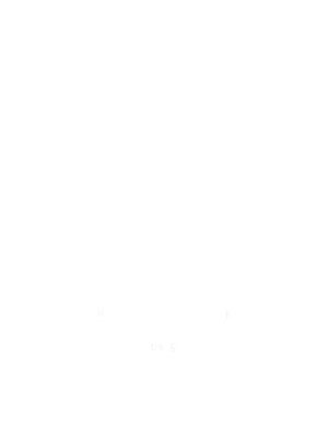 Electroestimulador Genesy 300 Pro