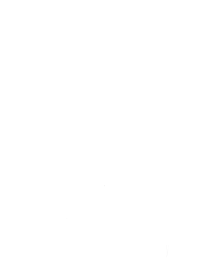 Magnum 3000 Pro